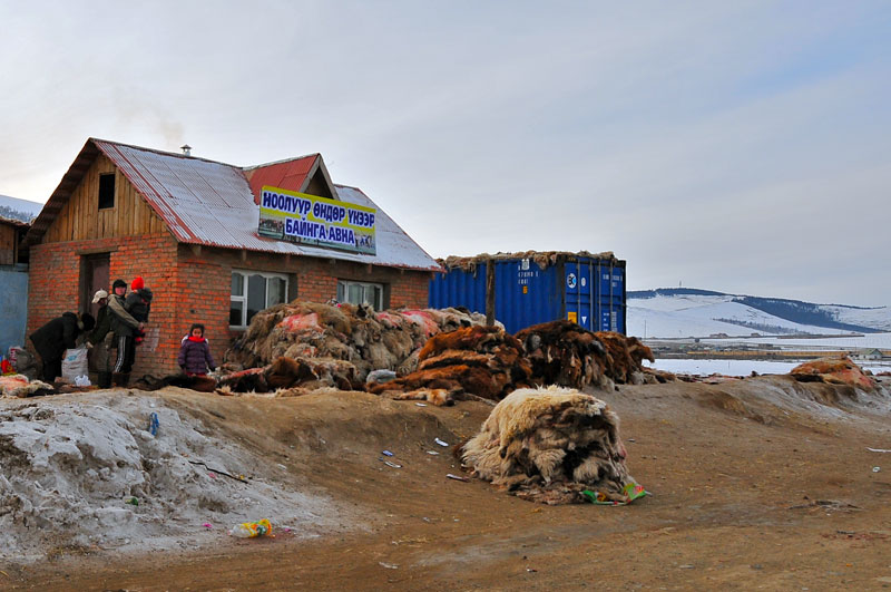 Mongolie